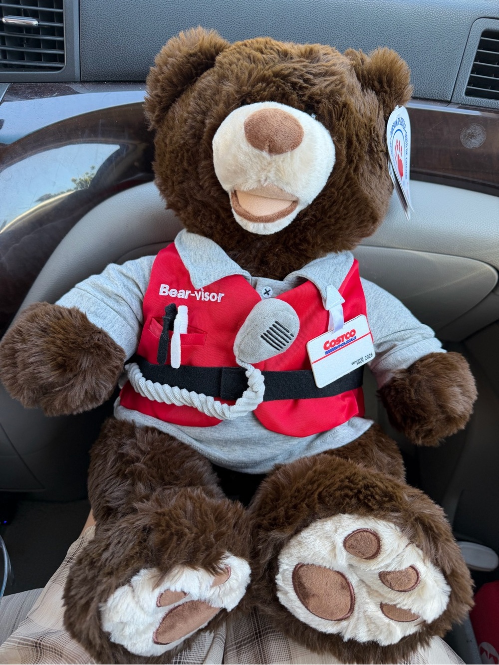 Costco Bear-visor Plush Bear in Brown with Red Vest